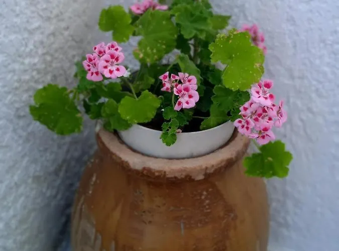 George & Dimitra's House Charokopio